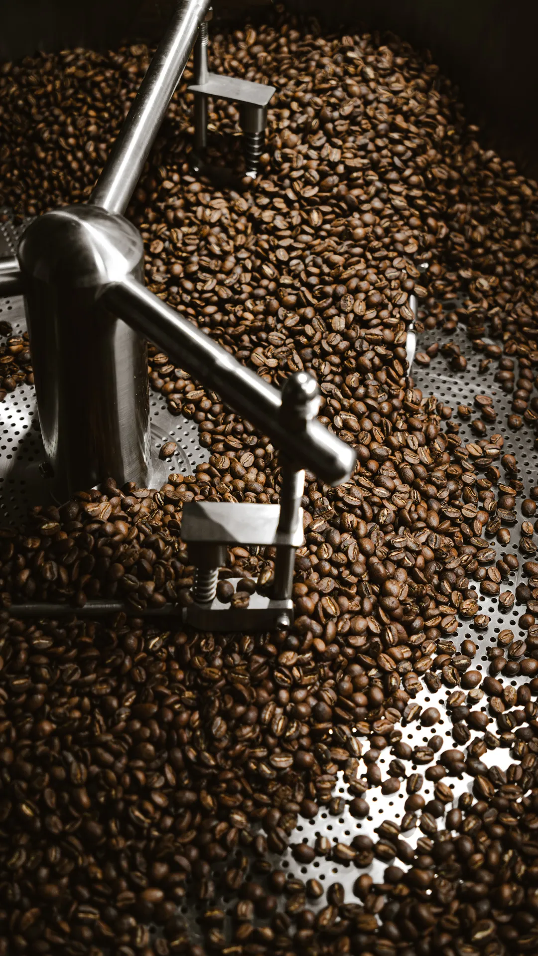 Granos de café tostados en la tolva, listos para empacar